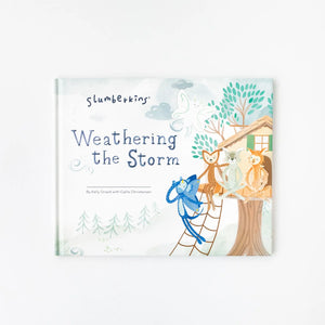 Weathering the storm book
