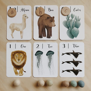 Nature’s 123 flashcards