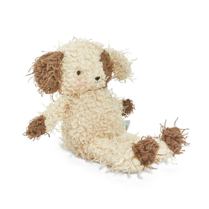 Shaggy Fetch