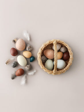 A dozen bird eggs