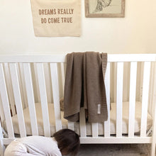 Load image into Gallery viewer, Dreams Really Do Come True banner
