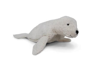 Cuddly animal - small seal, white