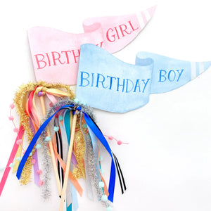 Birthday boy party pennant