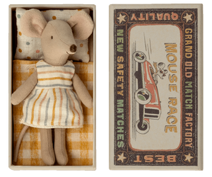 Big sister mouse in box